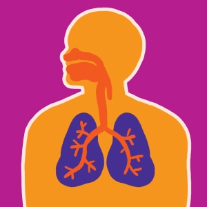 Vidéo : Respiration pulmonaire